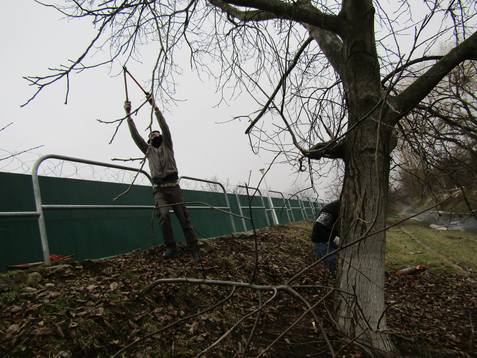 16804247_10208838466181142_7677648152544478662_o.j