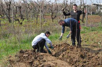 21014189_1337554296371272_9211026833237029094_o.jp